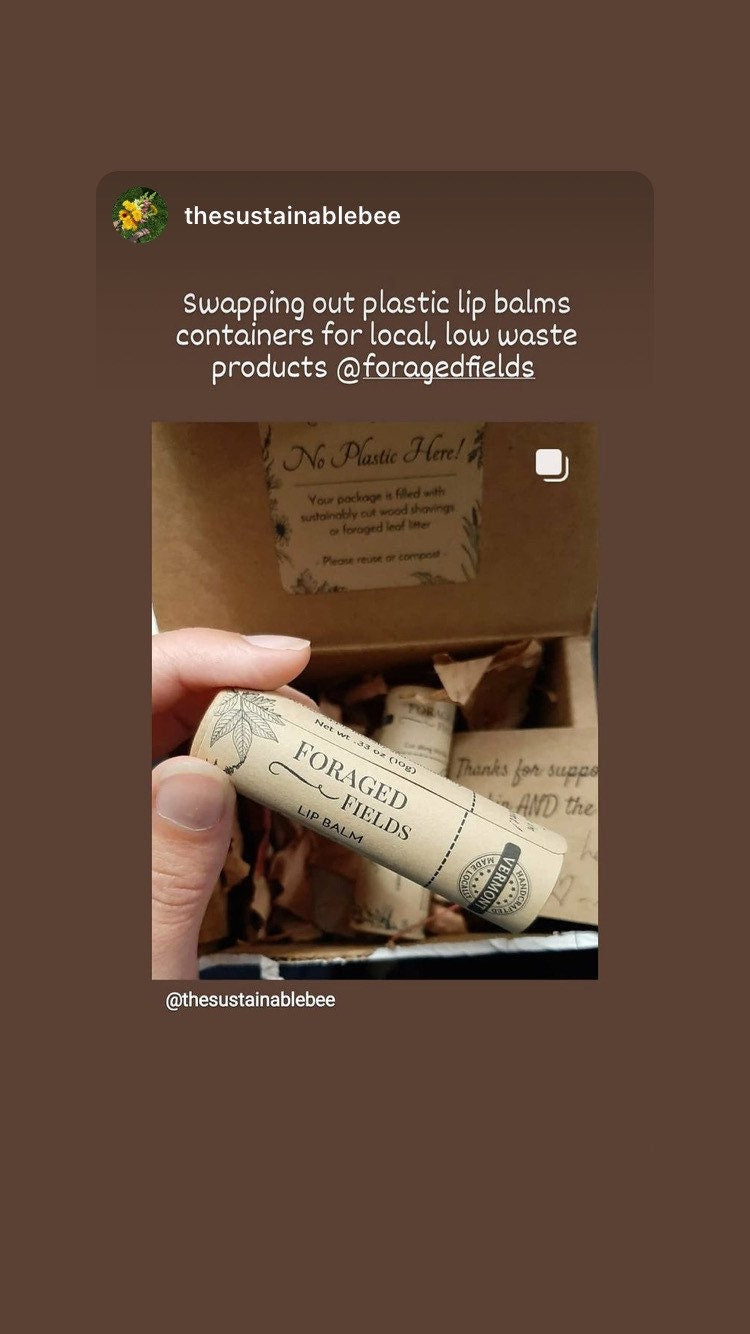 Plastic Free Lip Balm - Biodegradable, Natural, Botanical, Gloss, Lipstick, Makeup, Cosmetics, Large, Vermont